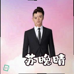 苏晚晴